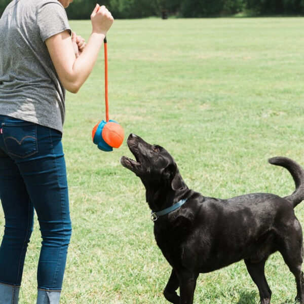 Chuckit! Rope Fetch - Image 5