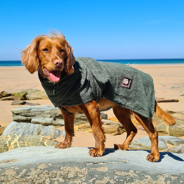 Danish Design Green Dog Toweling Robe