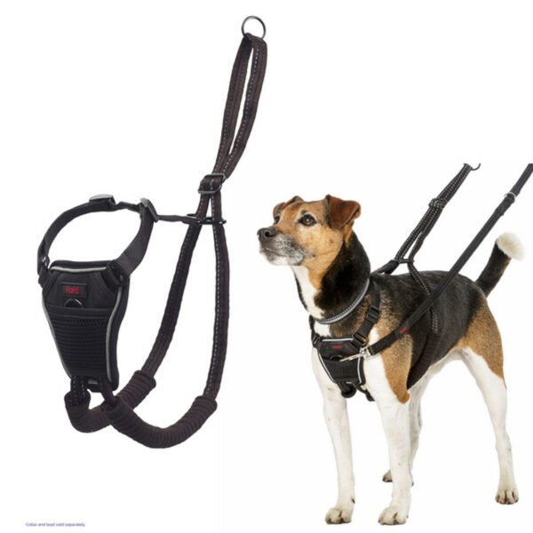 Halti No pull Harness - Image 7