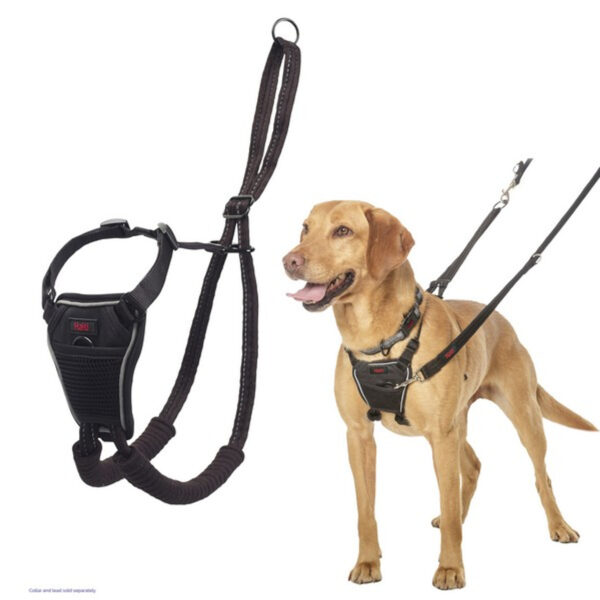 Halti No pull Harness - Image 10