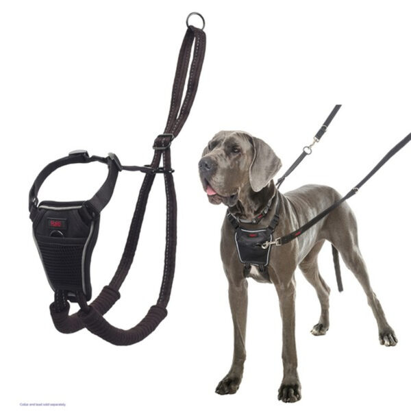 Halti No pull Harness - Image 12