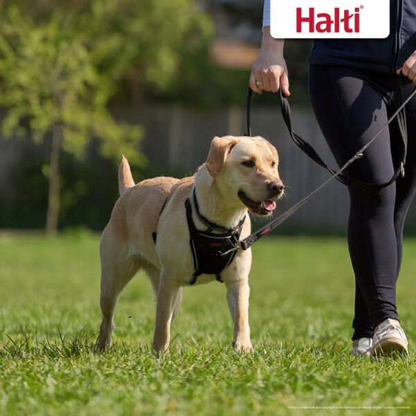 Halti No pull Harness - Image 9