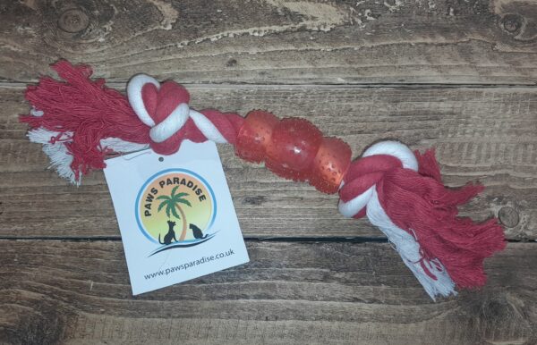 Paws Paradise 10" Rope Rugger with Spikey Grip