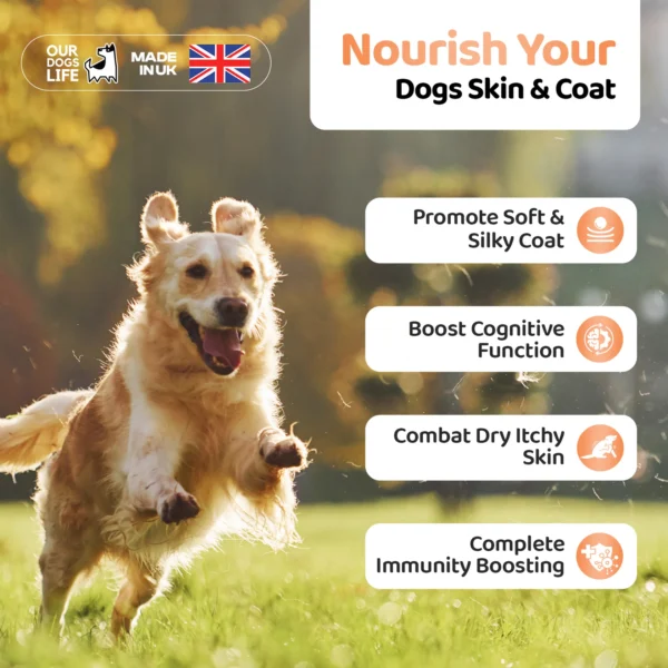 OurDogsLife  Salmon Oil For Dogs - Image 5