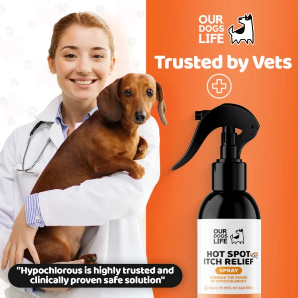 DogsLife Itch Relief Spray For Dogs 250mL - Image 6