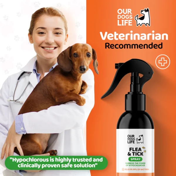 dogslife flea and tick treatment spray for dogs - Image 6