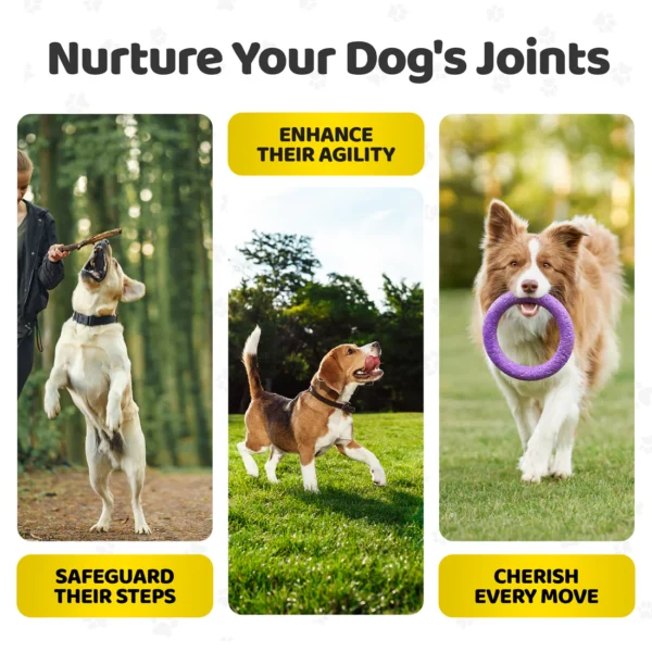 OurDogsLife  Joint Care Chews for Dogs - Image 5