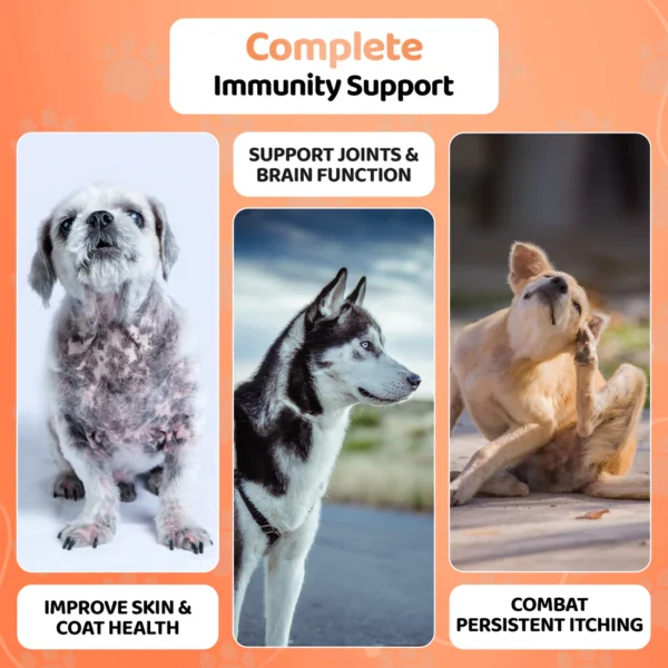 OurDogsLife  Salmon Oil For Dogs - Image 6
