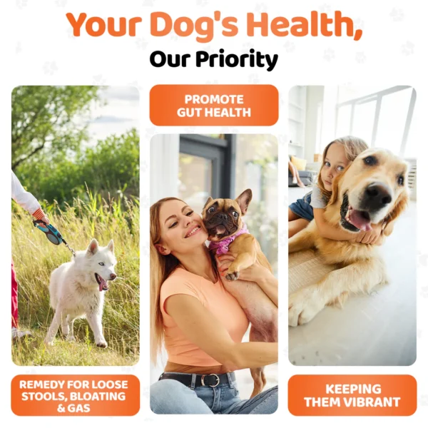 OurDogsLife  Digestive Supplements for Dogs - Image 7
