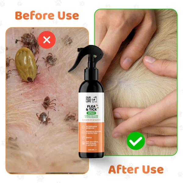 dogslife flea and tick treatment spray for dogs - Image 7