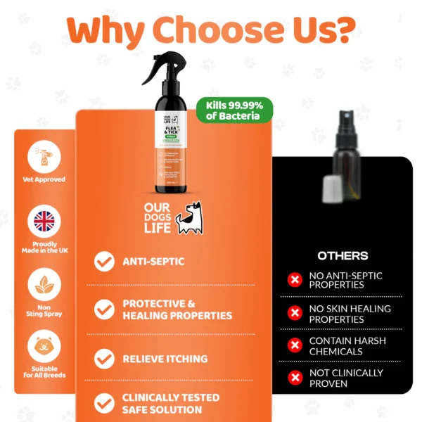 dogslife flea and tick treatment spray for dogs - Image 4