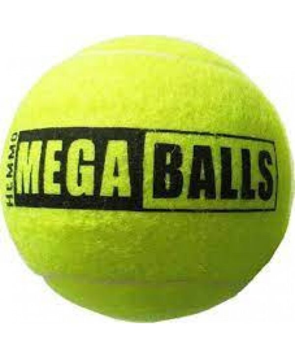Hem and Boo Mega Ball 6"