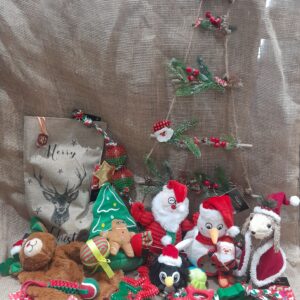 Lexie’s Xmas Toy Stockings