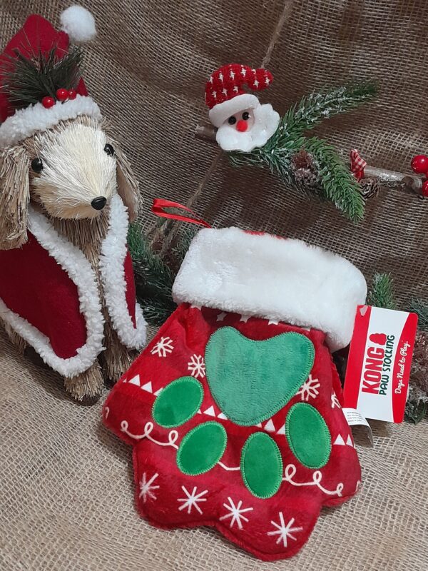 Benny's Xmas Cat Stockings - Image 2