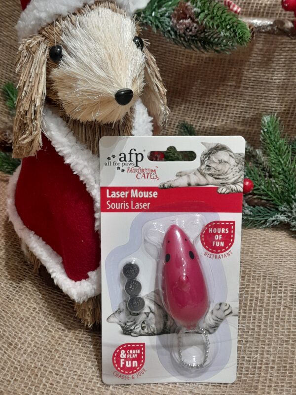 Benny's Xmas Cat Stockings - Image 3