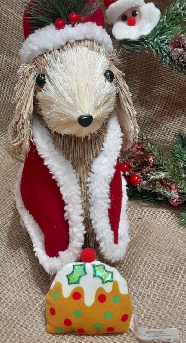 Benny's Xmas Cat Stockings - Image 5