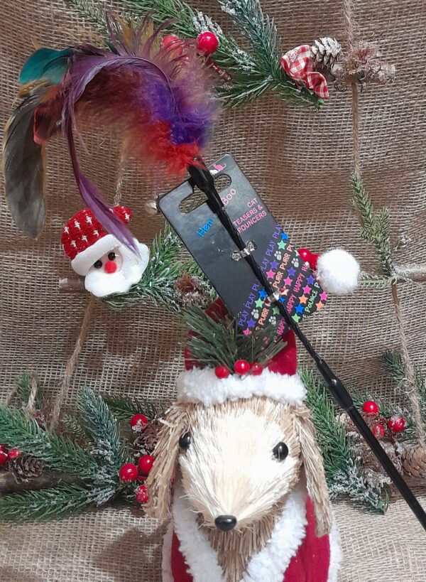 Benny's Xmas Cat Stockings - Image 4